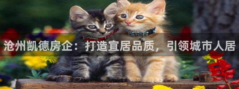 永利官网总站入口网址