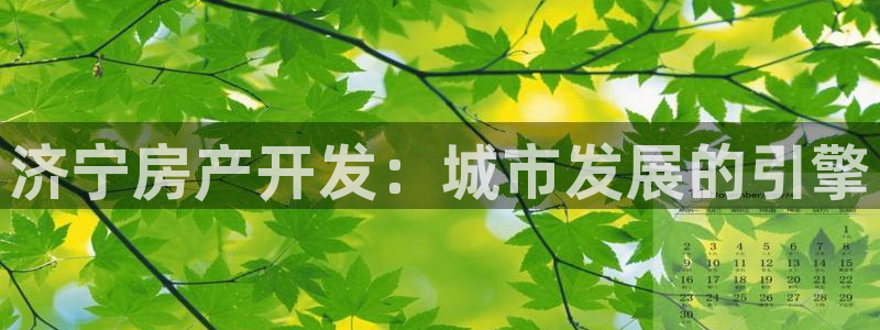 永利股份最新