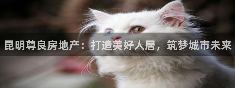永利网输了几十万