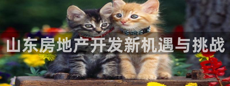 永利金控