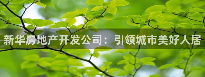 永利官网y
