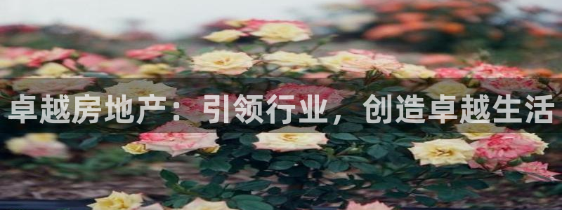 永利集团304am官方入口版