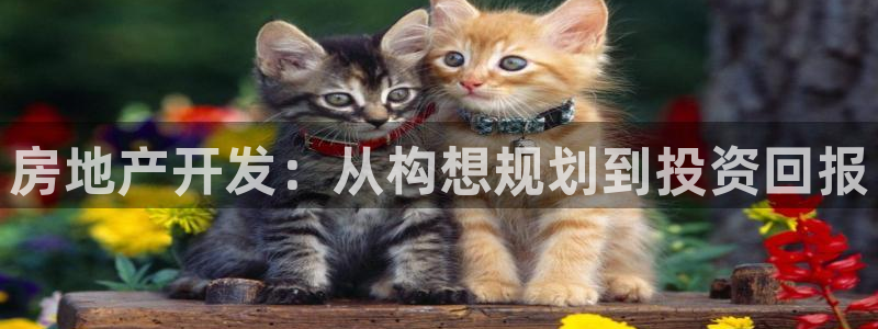 永利输的钱可以弄回来吗