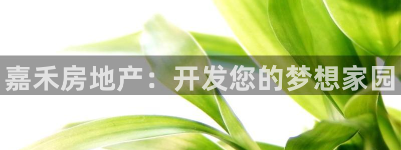 永利网9900777公司的地址