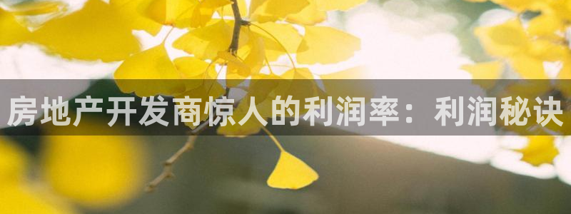 永利网9900777可靠吗