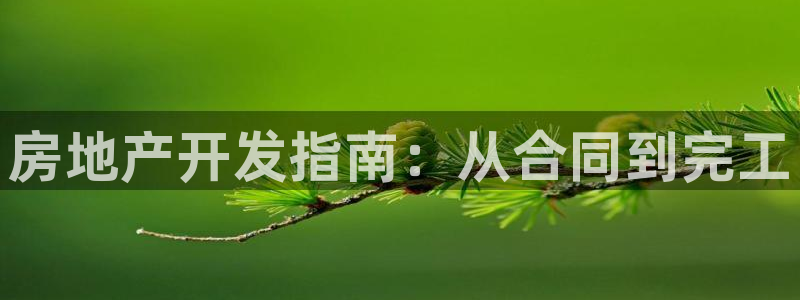 永利优惠大厅