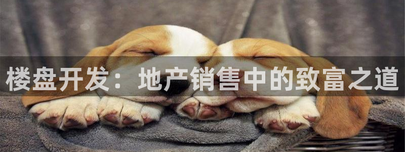 滨州永利盐业