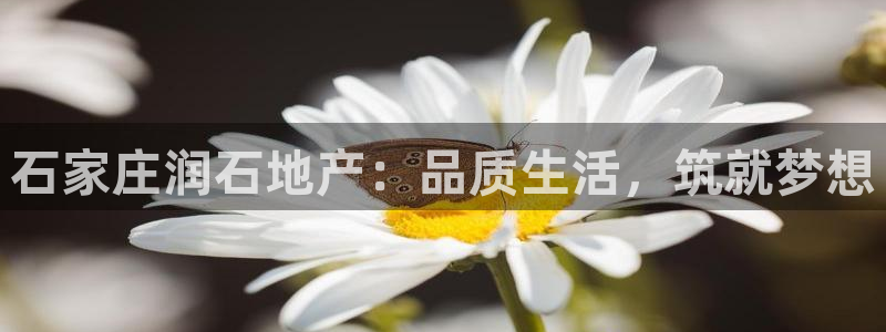 金沙永利夜总会怎么样