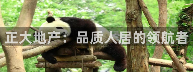 永利集团304am登录