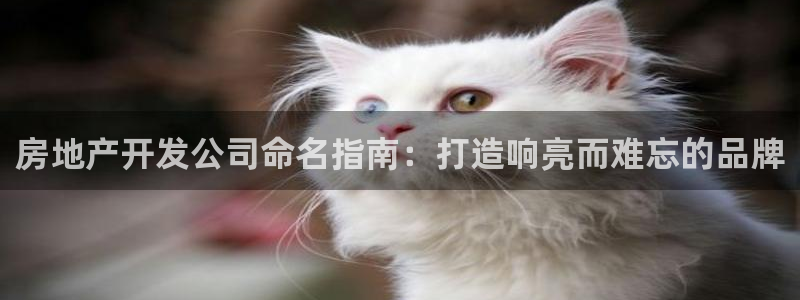 永利游乐城网址查询