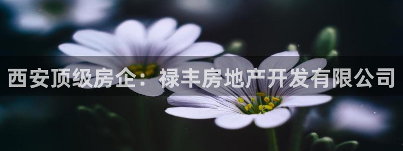 永利荟售楼处