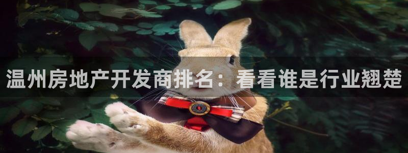 永利皮带官网价格查询
