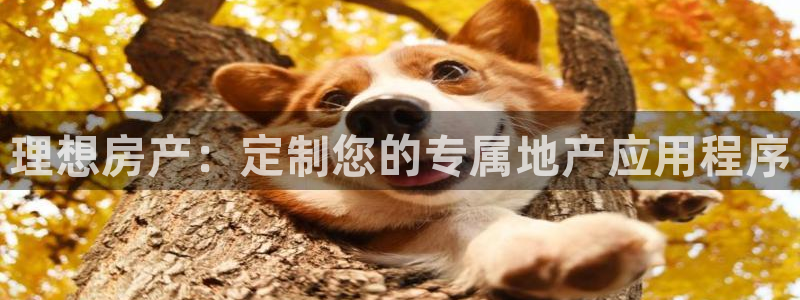 澳门永利集团简介