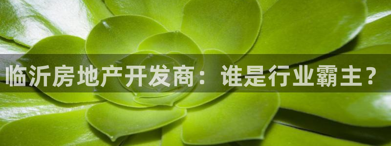 永利科技官网