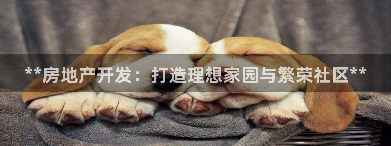 永利股份产品介绍