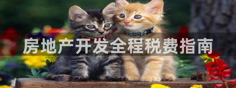 苏州金沙永利