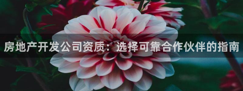 永利运动鞋