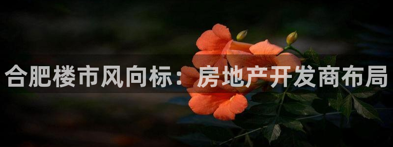 永利塑胶有限公司