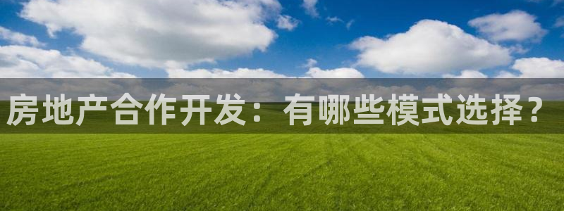 永利股份做什么