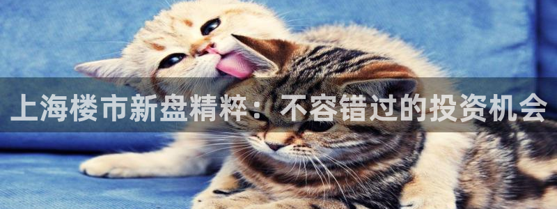 永利股份(300230)