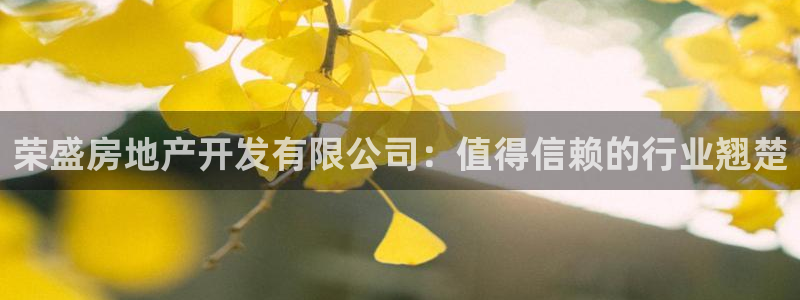 永利官网是什么
