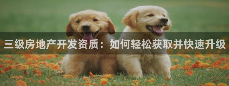 永利集团304am登录