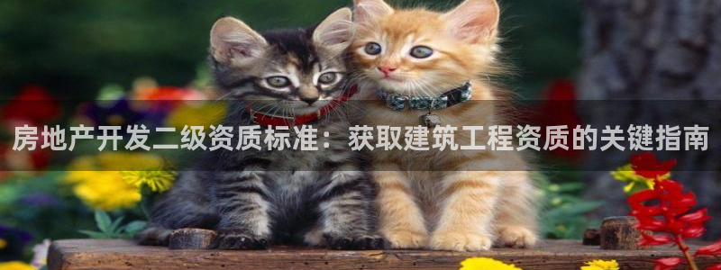 苏州金沙永利