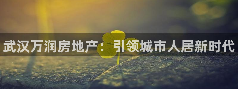 永利网是干什么的,能挣到钱吗安全吗