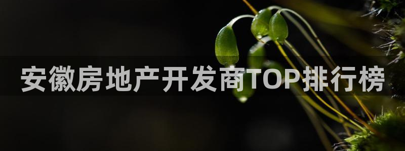 永利皇府黄立青个人资料