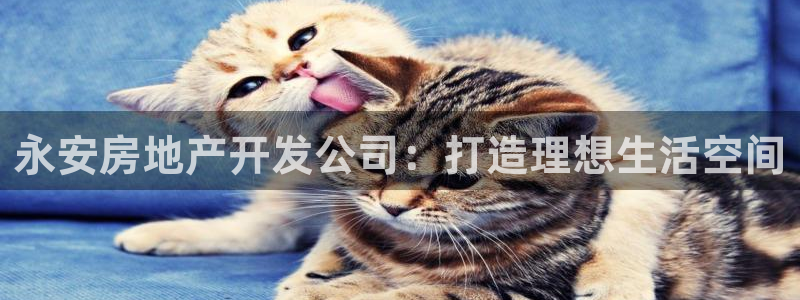 永利饭店老板