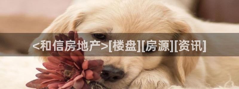 永利股份产品介绍