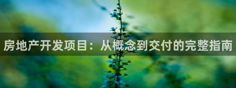 永利集团董事长简历