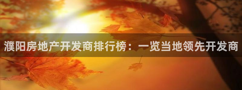 永利房地产开发有限公司总经理