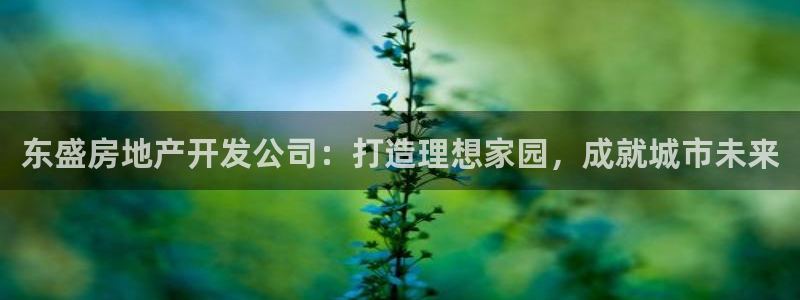 永利属于哪个集团