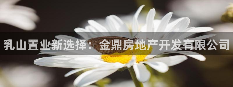 永利网是干什么的,能挣到钱吗是真的吗