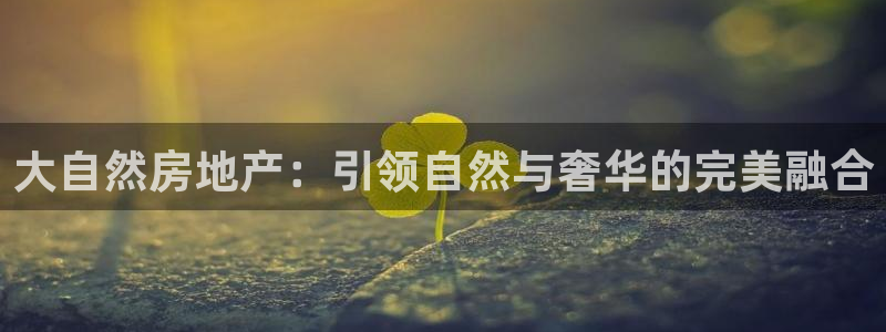 永利地产怎么样