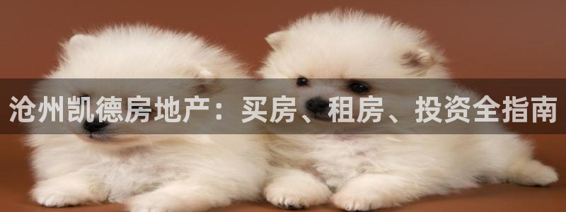 永利公司是做什么的