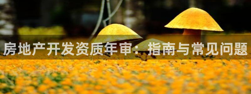 永利中国官网