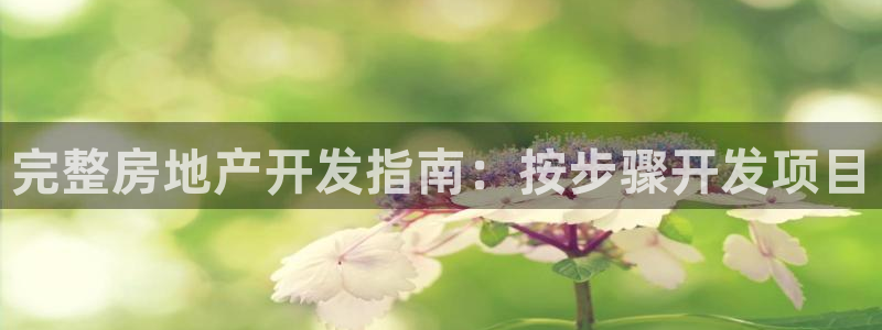 永利nev可靠吗