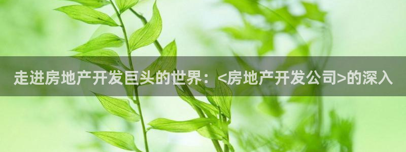 永利钻石会员
