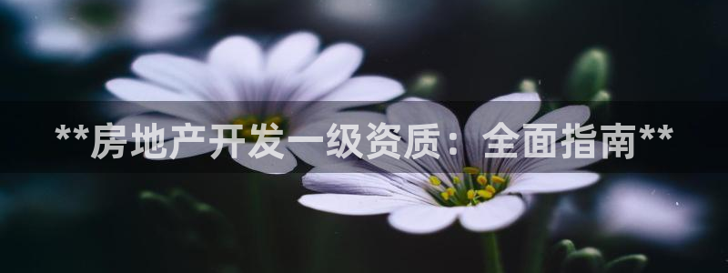 永利地产工程有限公司
