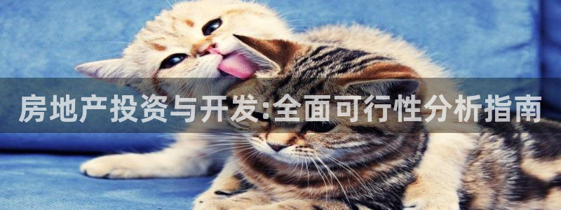 永利提不了款怎么办