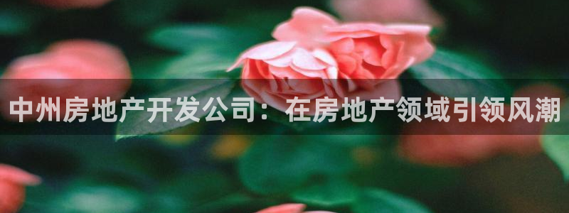 永利集团简介及地址