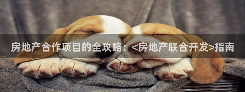 永利工业制带