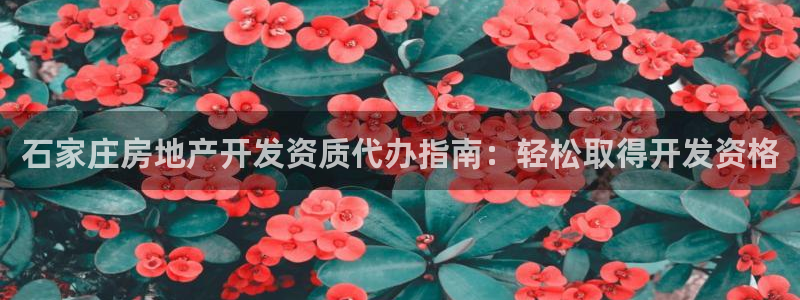 永利玩法
