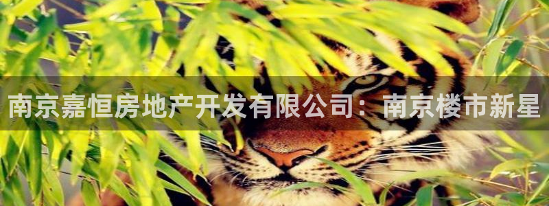 永利胶带厂