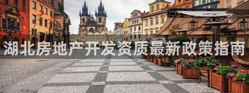 滨州永利篮球俱乐部老板