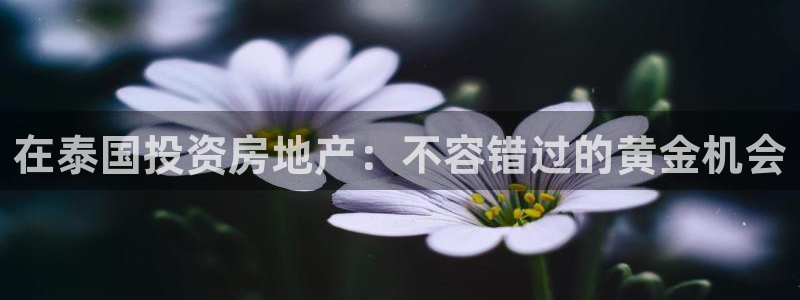 永利不给提款怎么办?