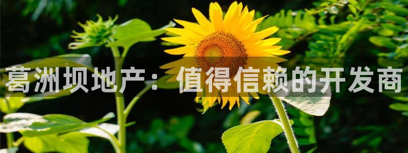 永利集团简介及地址