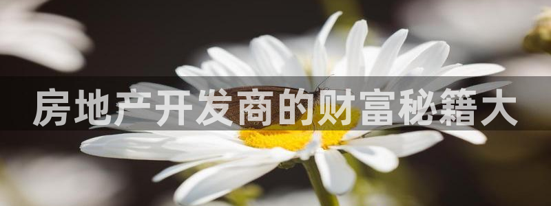 永利股份有限公司介绍